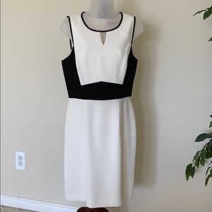 Catherine Malandrino Sleeveless Colorblock Sheath